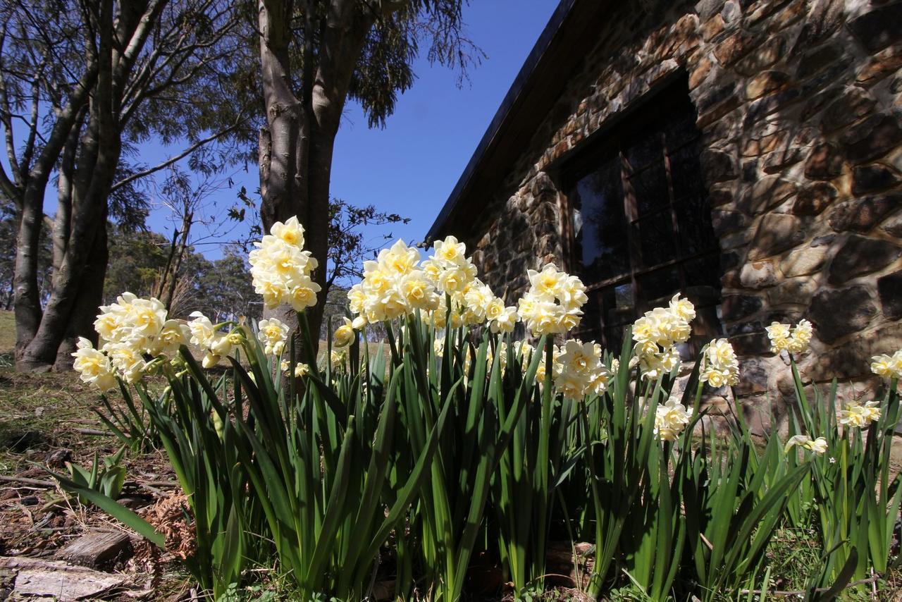 The Great House Bnb Buckland Exteriör bild